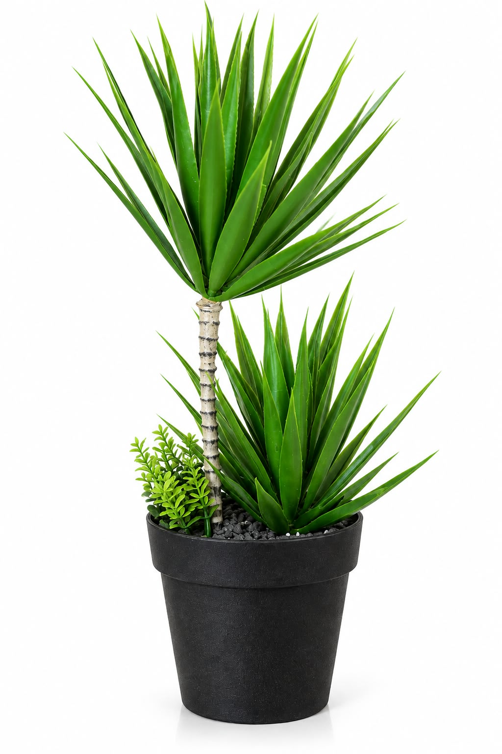 Artificial Yucca Plant in Black Pot