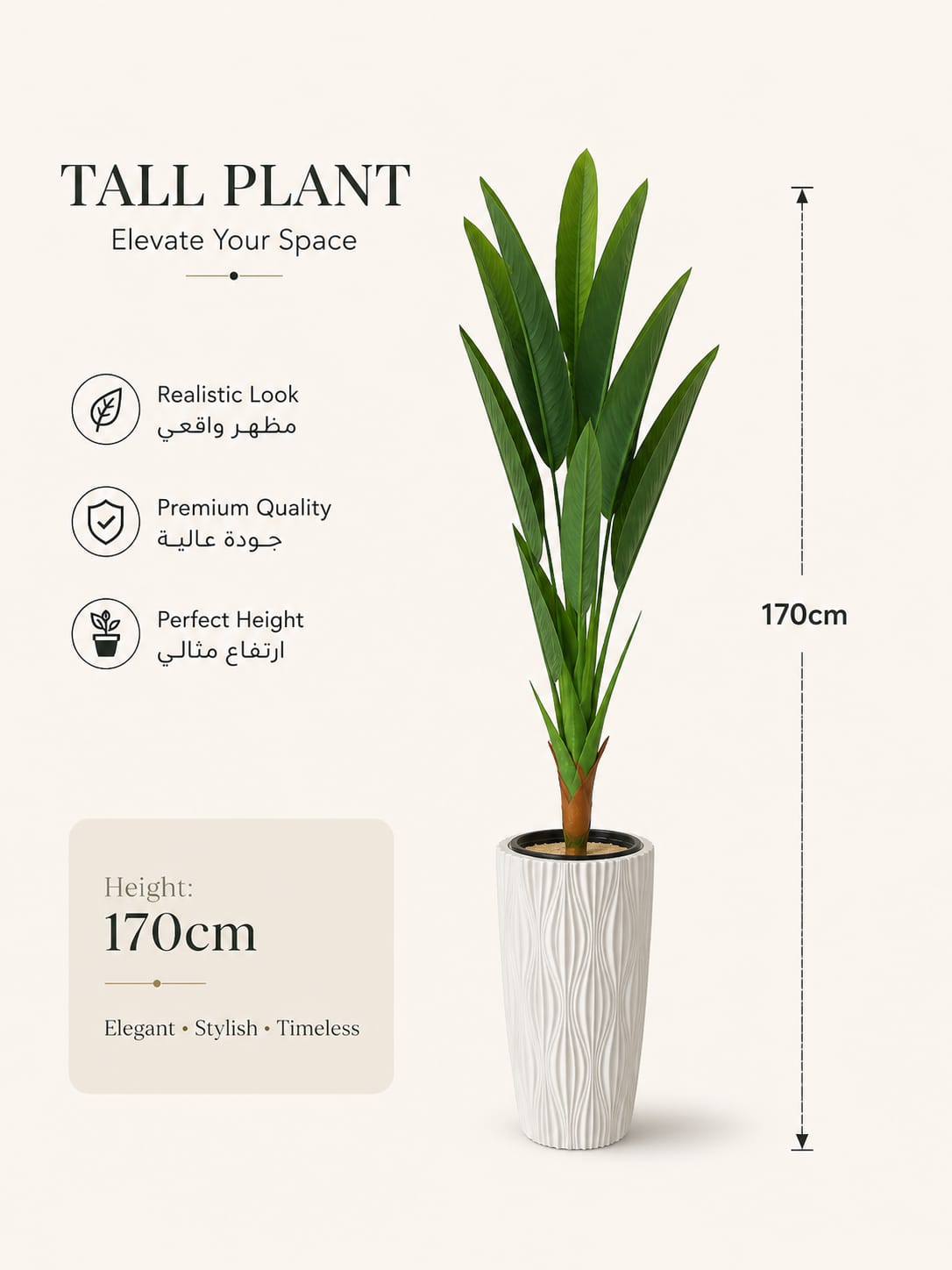 Flora banana