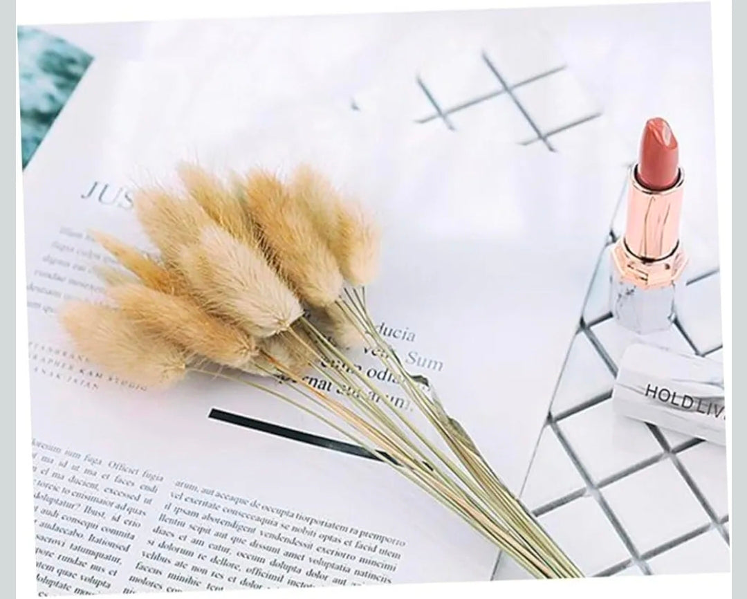 Bunny Tail Stems