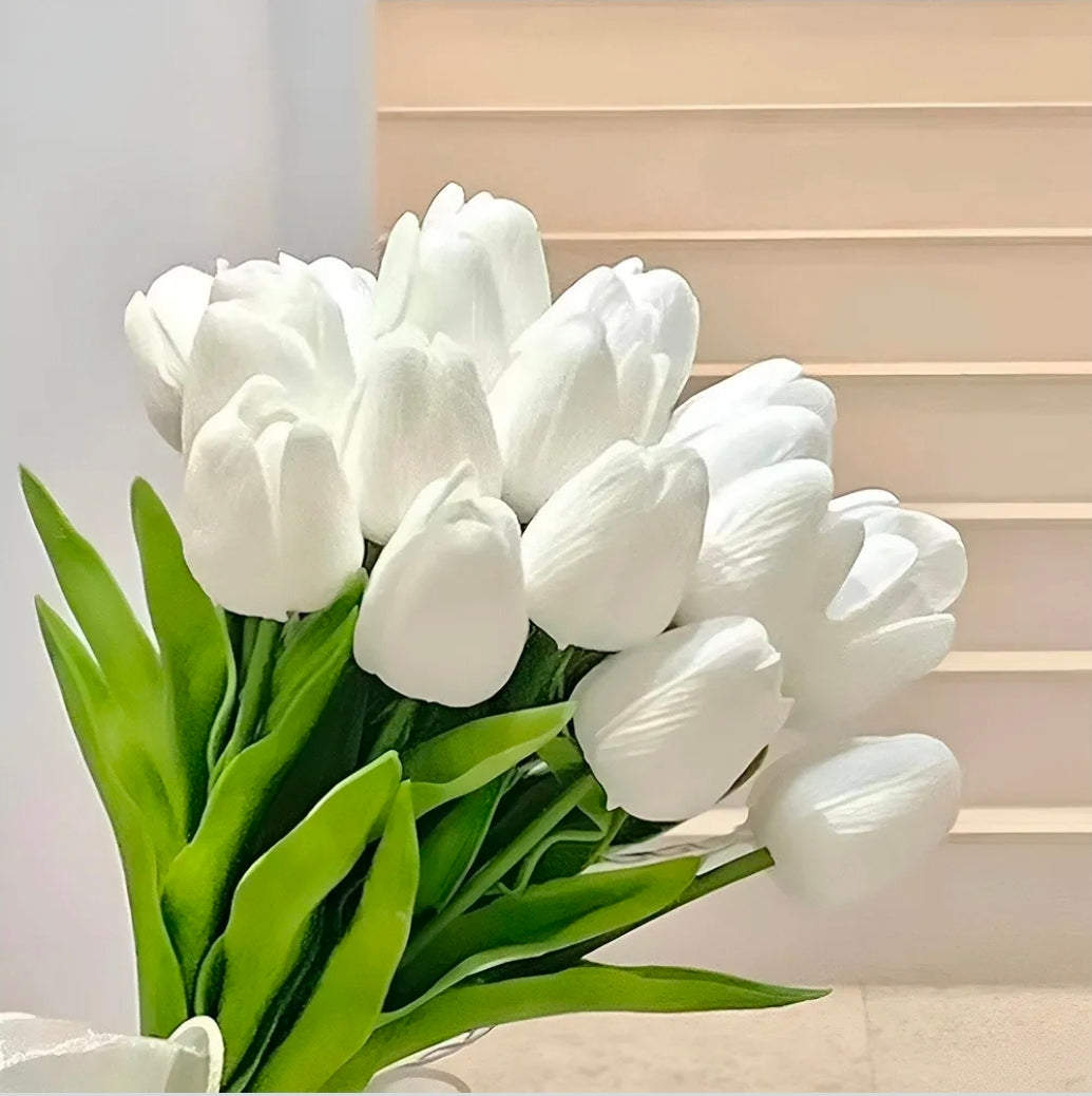 White Tulip