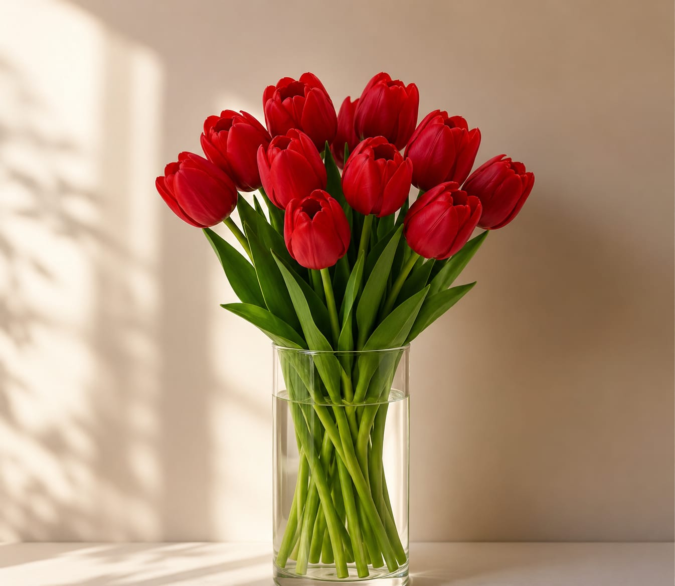 Tulip